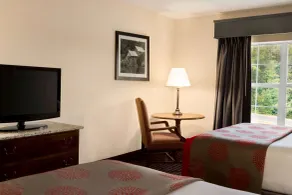 Ramada by Wyndham Pigeon Forge North - Chambre