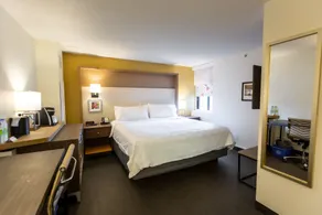 Holiday Inn Toronto Downtown Centre by IHG - Værelse