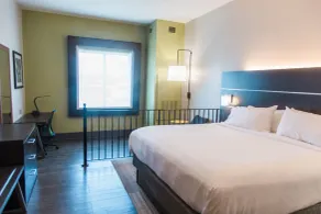 Holiday Inn Express & Suites Columbia-Fort Jackson by IHG - Chambre