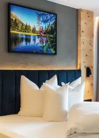 Ferienresidenz Raich - Appartements mit Sky Wellness und Garten - Værelse