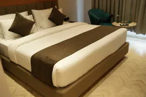 Narayani Executive - Chambre