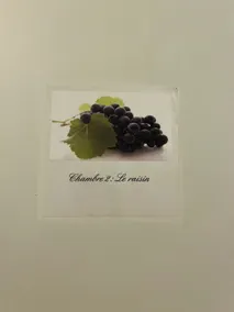 Le Médoc de Maxou - Camera