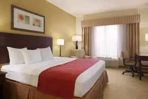Country Inn & Suites by Radisson, Savannah I-95 North, GA - Chambre