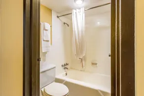 Americas Best Value Inn Fredonia NY - Badrum