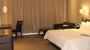 Le Meridien Nagpur - Room