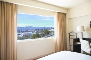Real Intercontinental San Salvador by IHG - View from room