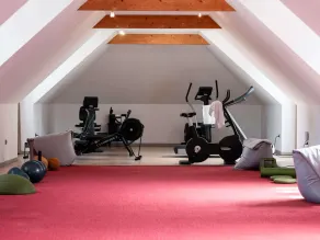 Mercure Maintenon - Fitnessfaciliteter