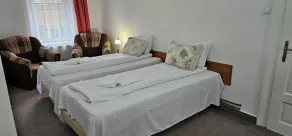 Guesthouse Casa Baciu - Room