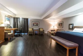 Royal Hotel Edmonton Airport Trademark Collection By Wyndham - Chambre