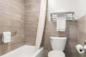 Best Western Plus Flint Airport Inn & Suites - Salle de bain