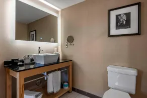 Cambria Hotel Ft Lauderdale, Airport South & Cruise Port - Salle de bain