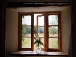 Hay Meadow Farm - View from room