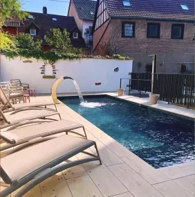 Logis Hotel L'Ours de Mutzig - Pool