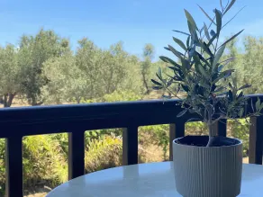 Villa Clelia - Utsikt fra rommet