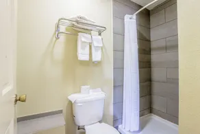 Budget Inn By OYO Natural Bridge I-81 - Salle de bain