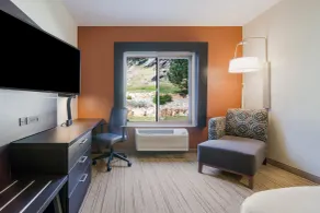 Holiday Inn Express & Suites Custer-Mt Rushmore - Chambre