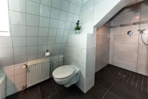 Haus Mittelrhein - Bathroom