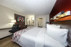 Red Roof Inn Tampa - Brandon - Room