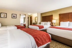 Comfort Inn Norwalk - Sandusky - Chambre