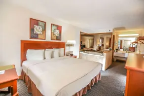 Super 8 by Wyndham Branson - Shepherd of the Hills Exwy - Rom