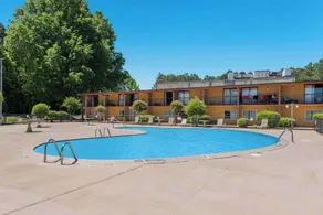 Econo Lodge High Point - Archdale - Piscine