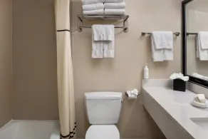 Cortona Inn and Suites Anaheim Resort - Badrum