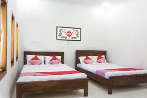 OYO 801 Hansa Homestay - Room