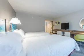 Hampton Inn Tampa-Veterans Expwy (Airport North) - Chambre