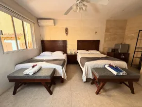 Hotel Boutique Progreso. Bugambilias 1 - Room