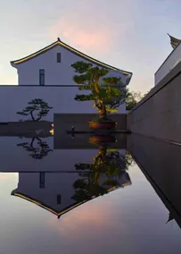 Pokkei Hotel Shaoxing  - Piscine