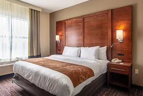 Comfort Suites NW Dallas Near Love Field - Room