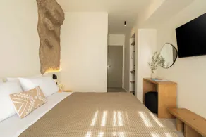 Philosophy of Mykonos Boutique Hotel - Chambre