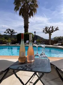 Le Château d'Argens - Pool