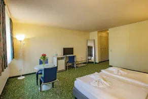 Erzgebirgshotel Freiberger Höhe - Room