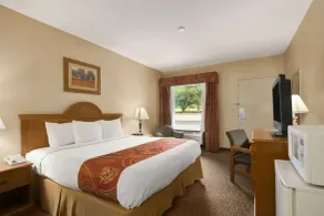 Days Inn by Wyndham Alexander City - Habitación