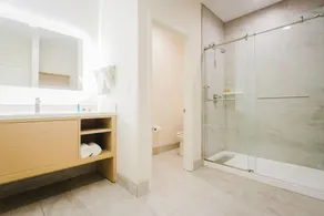 Palace Inn Blue Federal Road - Salle de bain