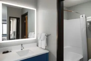 AmericInn by Wyndham Tofte Near Lake Superior - Salle de bain