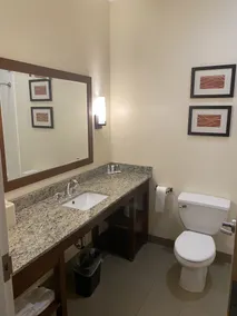 Comfort Inn Apalachin - Binghamton W Route 17 - Salle de bain