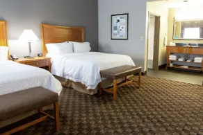 Hampton Inn & Suites Chesapeake-Square Mall - Chambre
