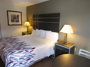 Red Roof Inn Columbia, TN - Chambre