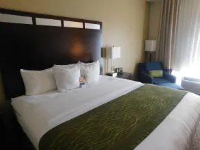 Comfort Inn St Clairsville - Chambre