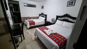 El Delfin Hotel y Restaurante - Room
