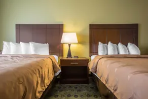 Quality Inn & Suites Bloomington I-55 and I-74 - Chambre