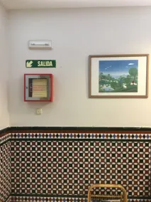 Hostal Carlos III - Resepsjon