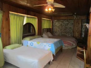 Coconut Tree West End - Room