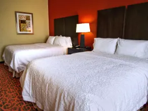 Hampton Inn & Suites Elk City - Chambre