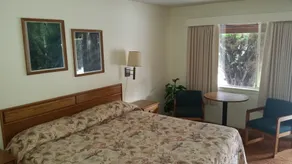 Blue Gum Motel - Habitación