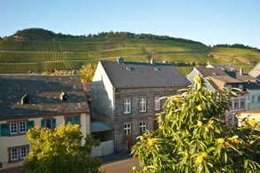 Ferienresidenz Brauneberger Hof an der Mosel nahe Bernkastel-Kues - Vista dalla camera