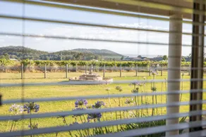 'Vineyard Cottage' A Golden Escape among the Vines - View from room