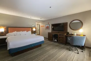Hampton Inn & Suites Wilder - Habitación